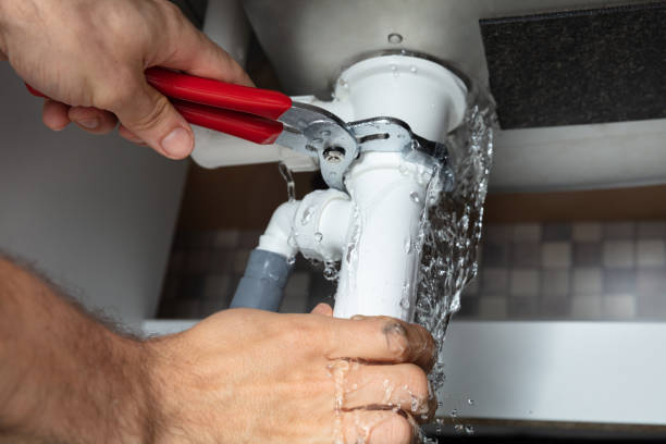 Best Water damage restoration mold remediation  in San Tan Valley, AZ