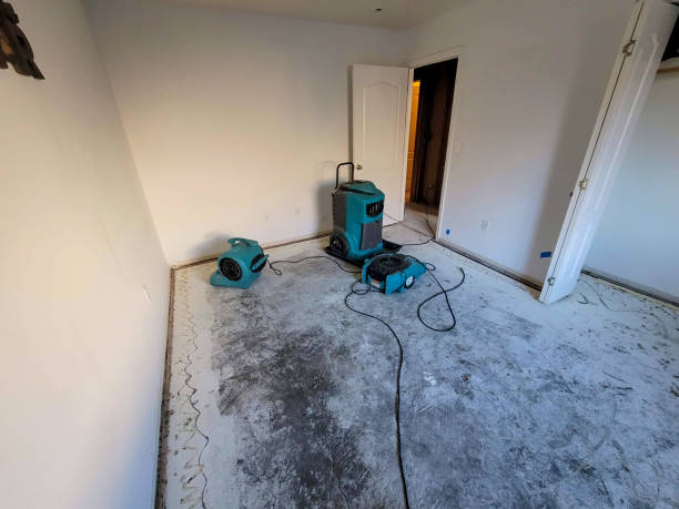 Best Local water damage restoration  in San Tan Valley, AZ