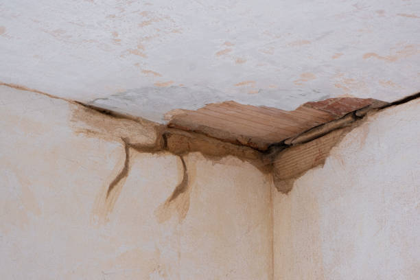 Best Basement water damage restoration  in San Tan Valley, AZ
