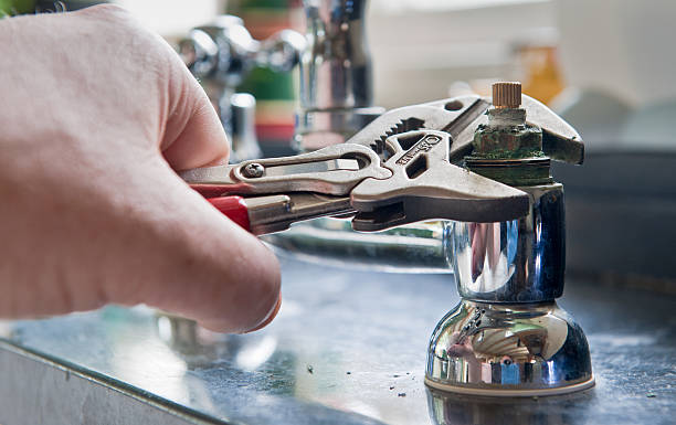 Best Mold removal after water damage  in San Tan Valley, AZ