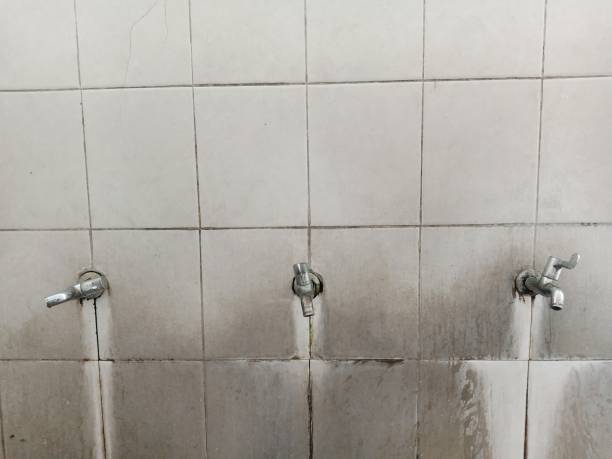 Water damage restoration mold remediation in AZ