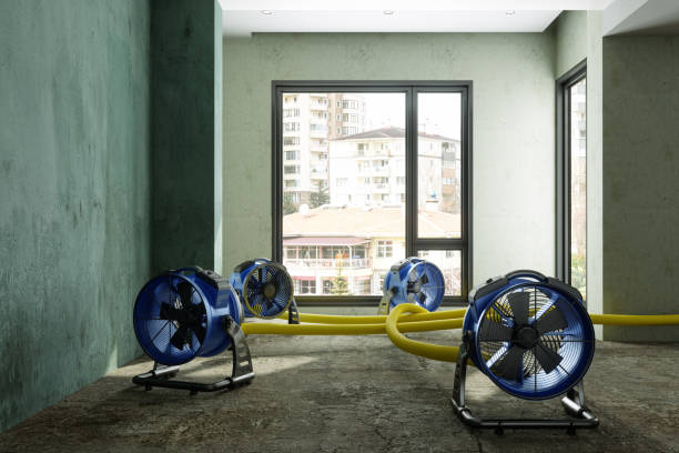 Best 24-hour water damage restoration  in San Tan Valley, AZ